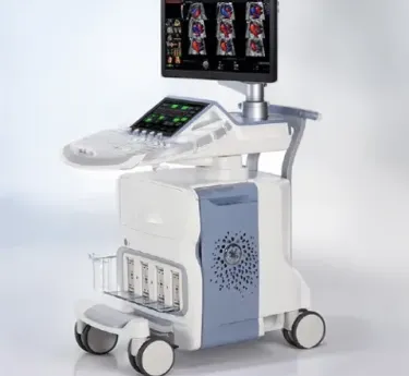 GE Voluson E10 ultrasound device