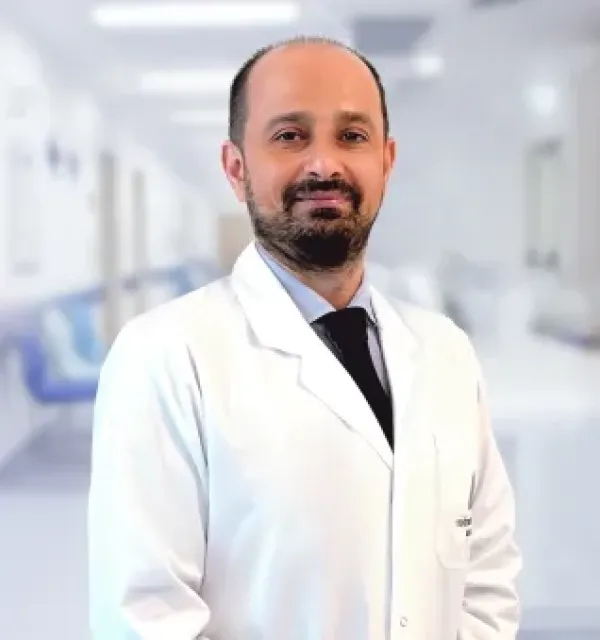 erol demir