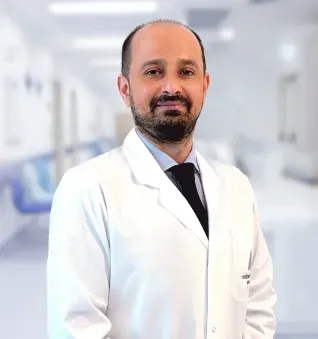 erol demir
