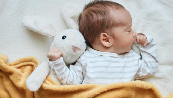 In-Vitro Fertilization (IVF)