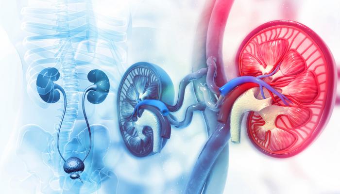 Kidney Transplantation