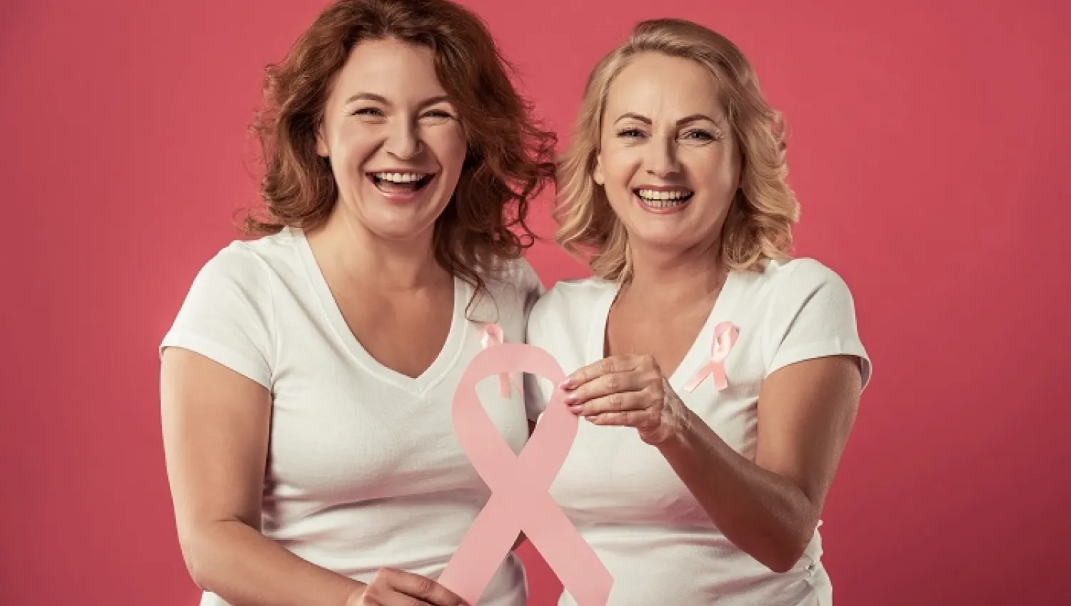 Surgery for Breast Cancer and Breast Aesthetics Can Be Performed Simultaneously