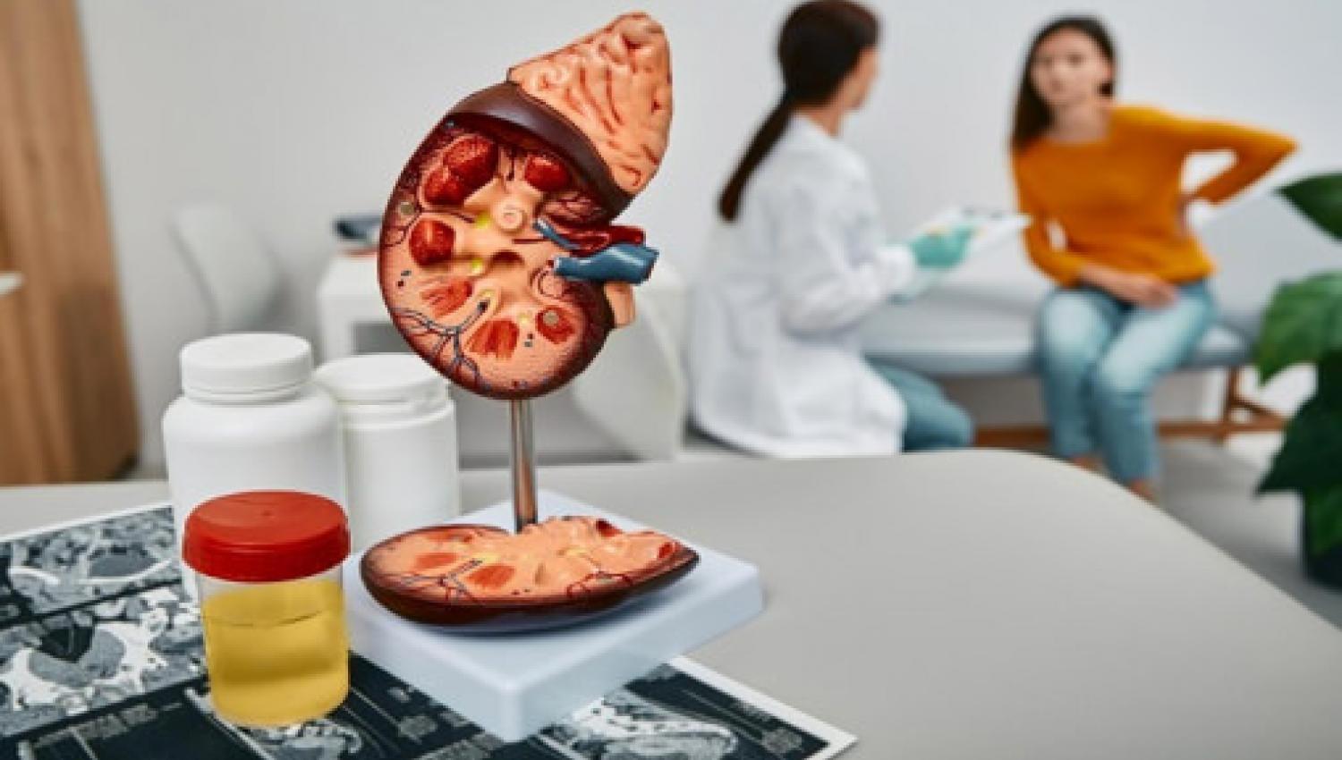 Böbrek Tümörleri3