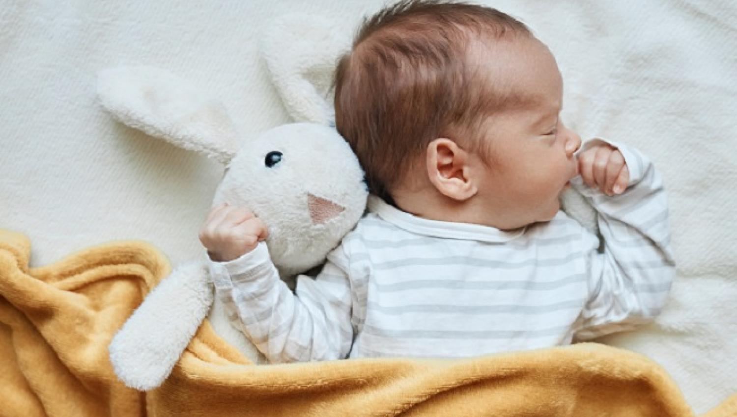 In-Vitro Fertilization (IVF)